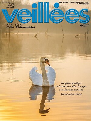 cover image of Les Veillées des chaumières